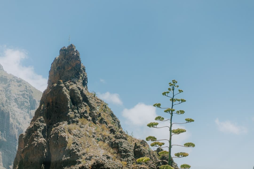 《归队》福庆角色介绍
